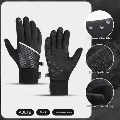Loravo Gloves