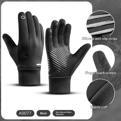 Loravo Gloves